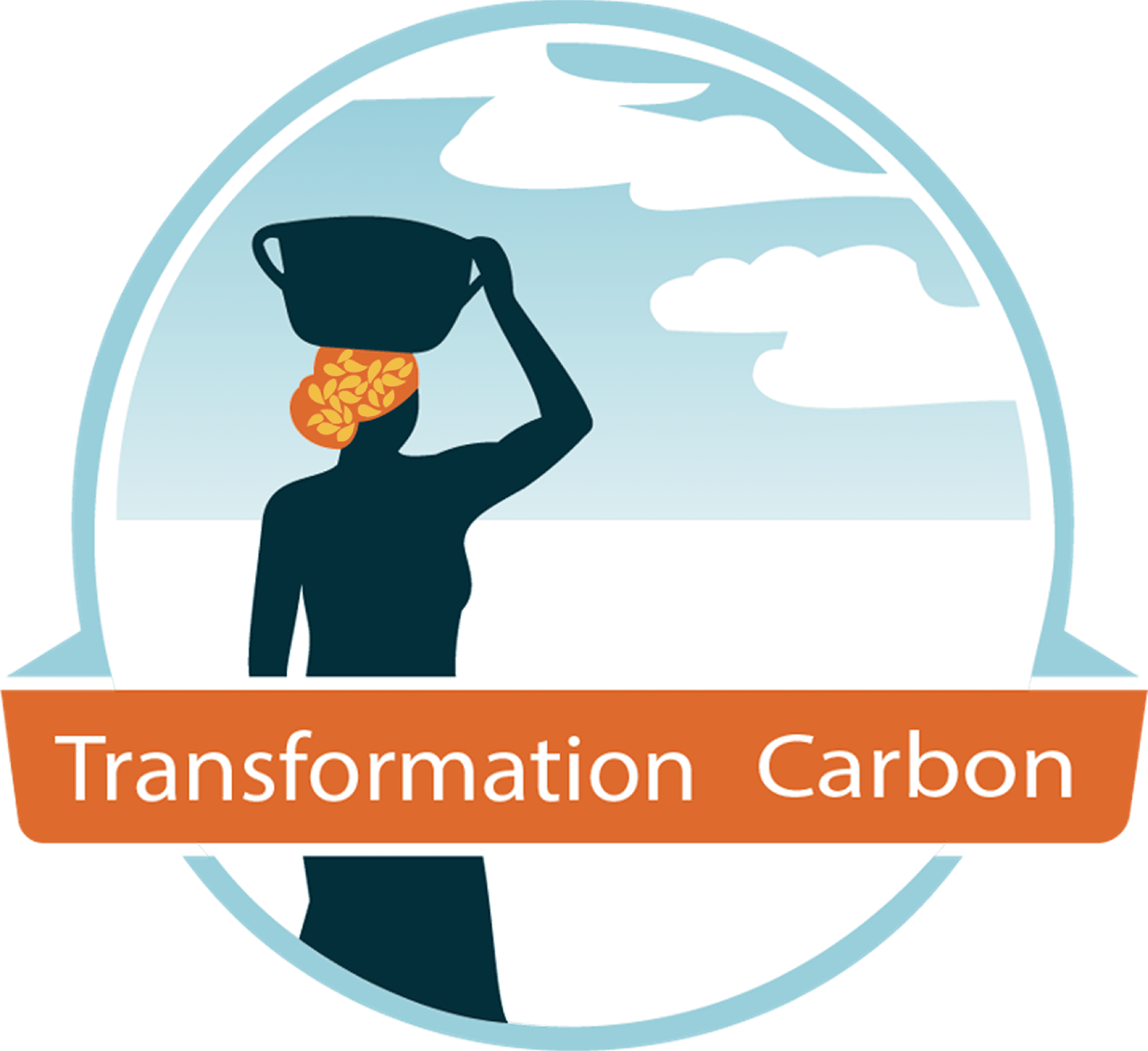 परिवर्तन कार्बन